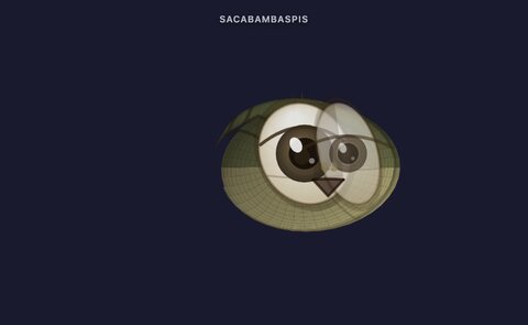 animal-sacabambaspis-neutral