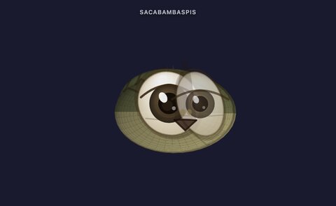bodycheck-saca-frame-00