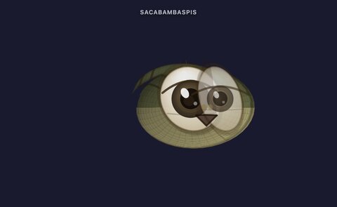 bodycheck-saca-frame-04