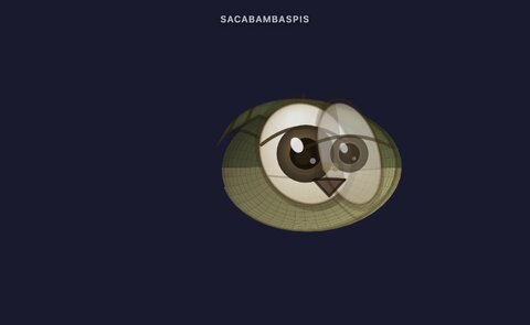 bodycheck-saca-frame-07