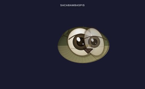 sacabambaspis-closeup
